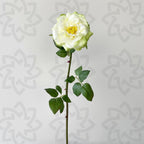 Rosas artificiales con tacto real de 19.6" para bodas y eventos - Blanco champán