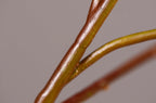Ramas artificiales de 43" para arreglos florales y proyectos DIY