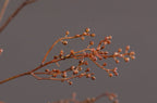 Ramas artificiales de 43" para arreglos florales y proyectos DIY