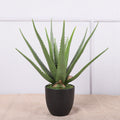 Planta artificial en maceta con tacto real 4 piezas para bodas y eventos