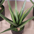 Planta artificial en maceta con tacto real 4 piezas para bodas y eventos - 27.5"