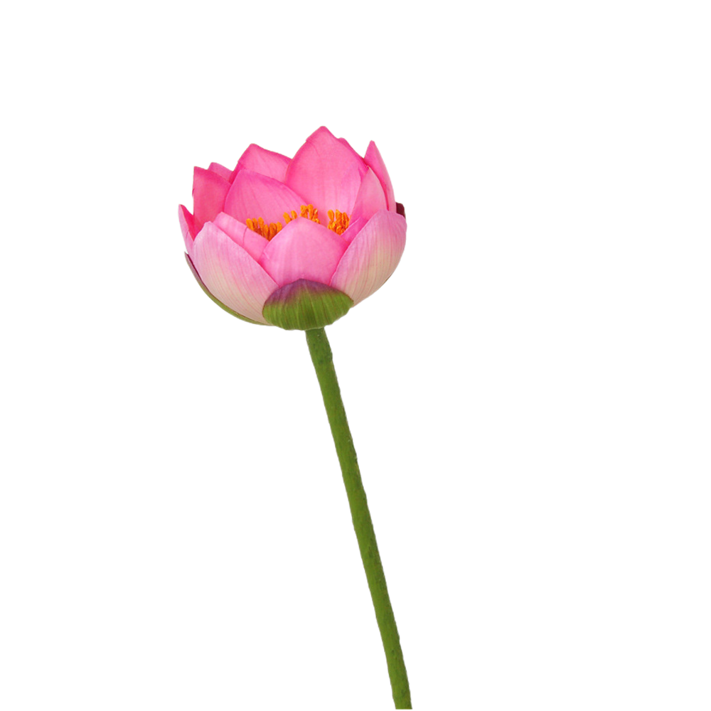 Lotos artificiales con tacto real para decoración del hogar, eventos y escaparates - 27" rosa multi petal blooming
