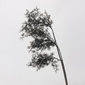 Ramas de pino artificiales con tacto real de 30" para bodas y eventos