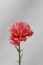 Claveles artificiales de 10.6" para bodas y eventos