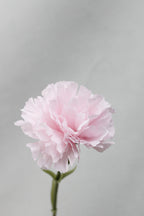 Claveles artificiales de 10.6" para bodas y eventos