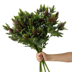 Tallos artificiales con tacto real de 26" para bodas y eventos