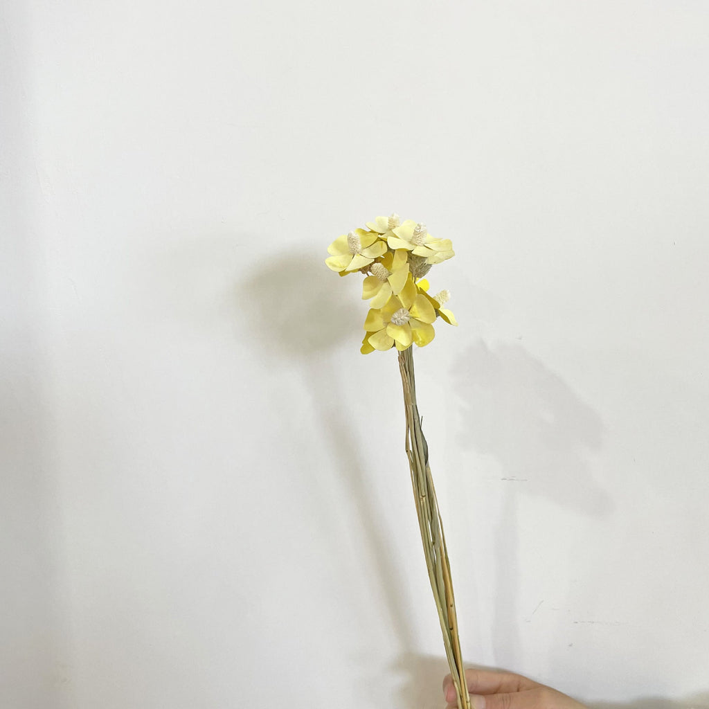 Orquídeas artificiales de 13" para bodas y eventos - Champán