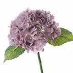 Hortensias artificiales con tacto real de 19" para bodas y eventos