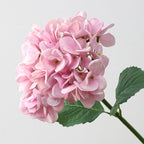 Hortensias artificiales con tacto real de 19" x 7" para bodas y eventos - Rosa/blanco