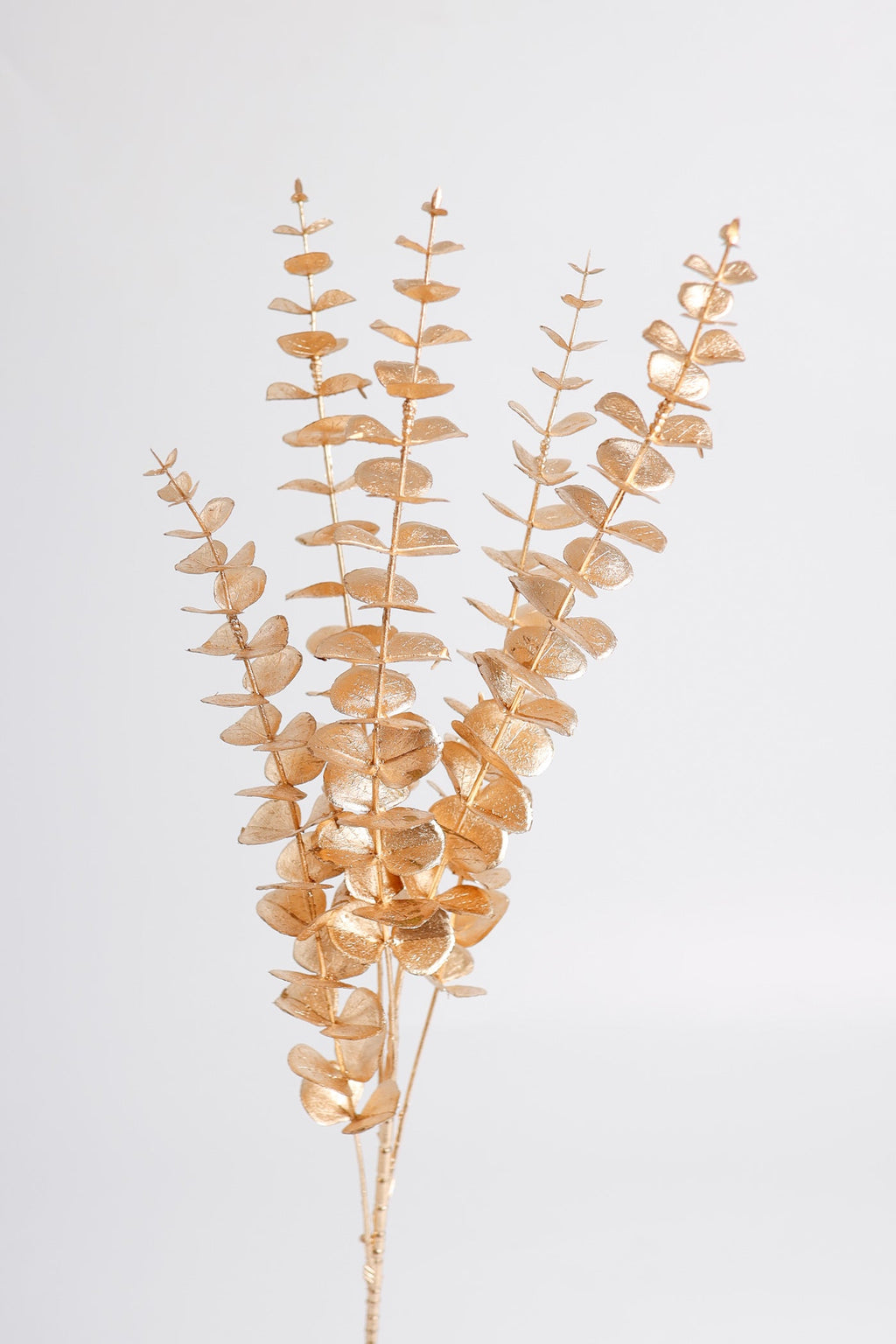 Orquídeas phalaenopsis artificiales para jardín, balcón y terraza - Dorado Eucalyptus