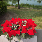 Flores de Pascua artificiales con resistencia a los rayos UV de 12" x 20" para jardín, balcón y terraza - Rojo