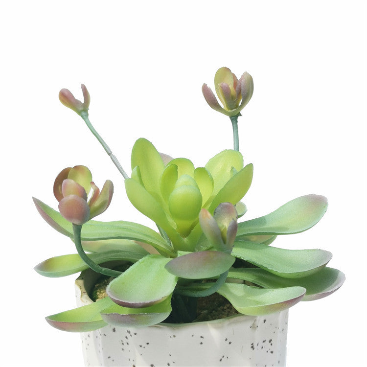 Flores artificiales con tacto real de 7" x 5" para decoración de interiores