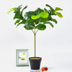 Tallos artificiales para arreglos florales y proyectos DIY