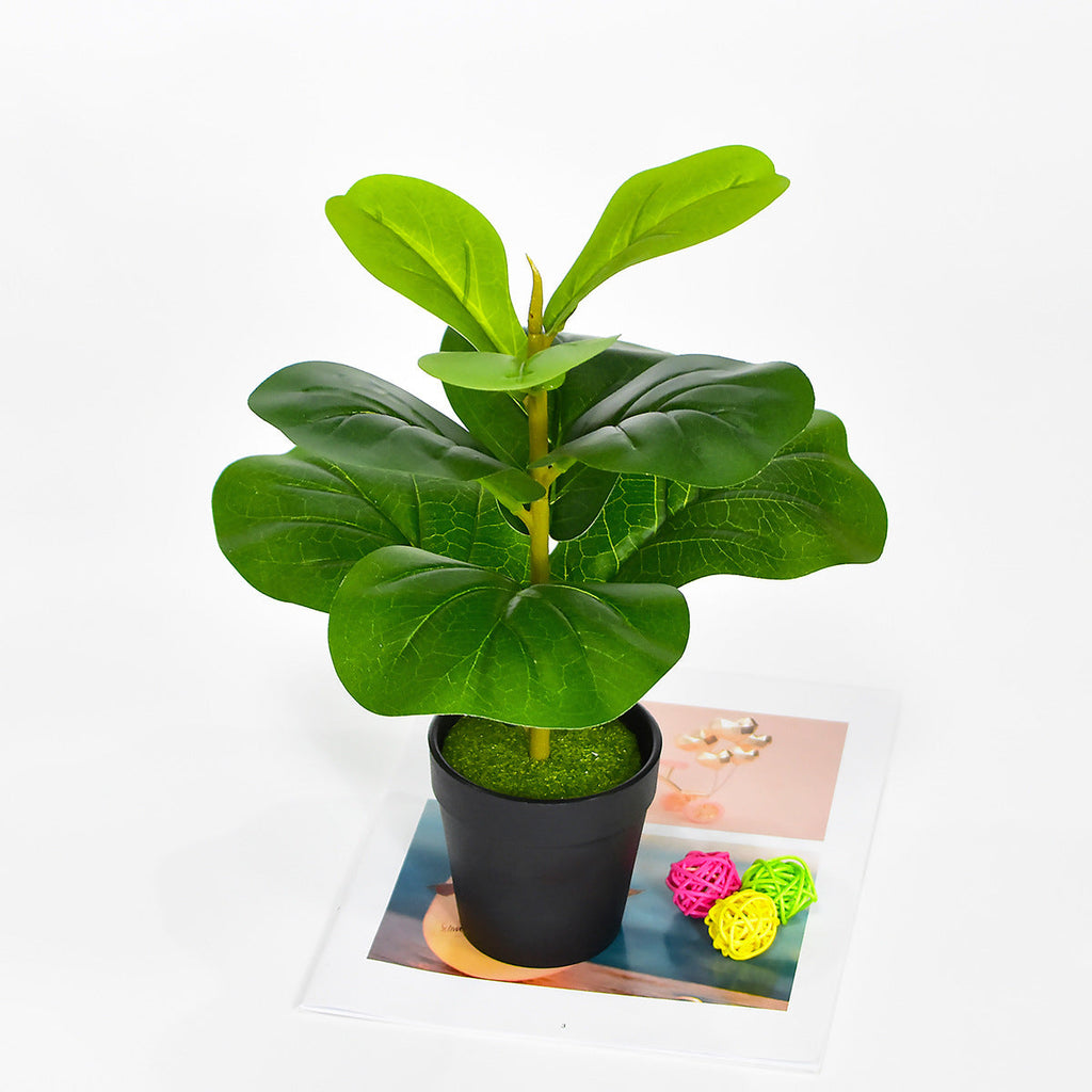 Tallos artificiales para arreglos florales y proyectos DIY - 25"