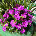 Arbusto artificial con resistencia a los rayos UV de 16" x 12" 24 tallos para jardín, balcón y terraza