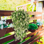 Lavanda artificial de 21" x 8" 2 piezas para decoración de interiores - Blanco