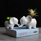 Flores artificiales para decoración del hogar - Blanco M