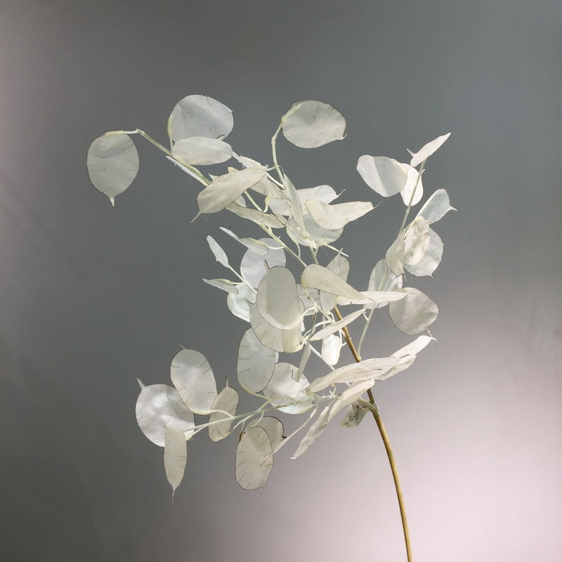 Tallos artificiales de 35" para decoración del hogar - Crema 1 stem