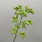 Planta Artificial Pata de Canguro, Arbusto Decorativo de Plástico PE/PVC, Estilo Nórdico para Hogar, Bodas y Escaparates