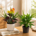 Composición de plantas artificiales - Ojo del diablo y Balsamina, 29 cm, decoración de escritorio u oficina