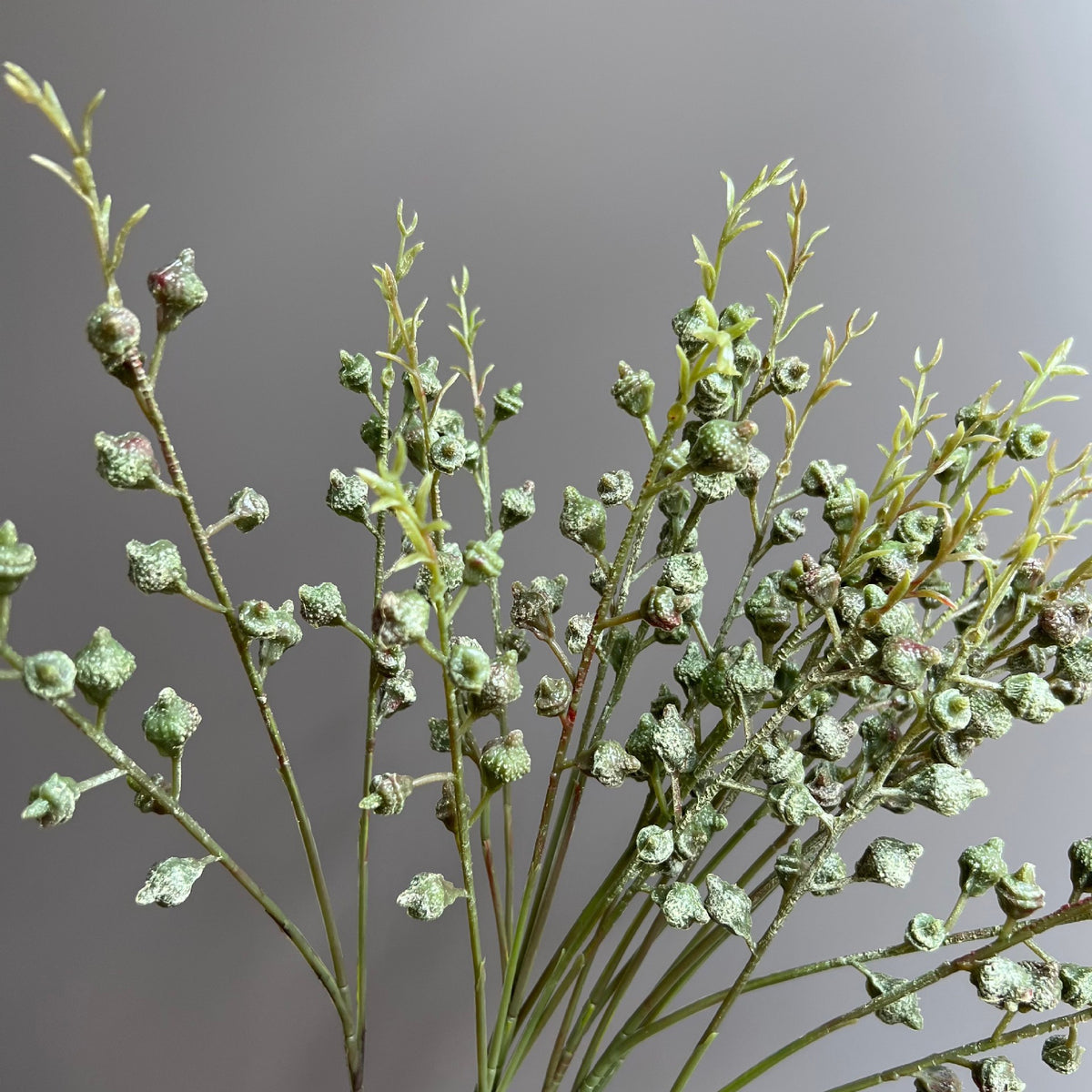 Rama de Eucalipto Artificial con Frutos, Pack de 5 Ramas, Blanco y Verde, Decoración de Bodas y Hogar
