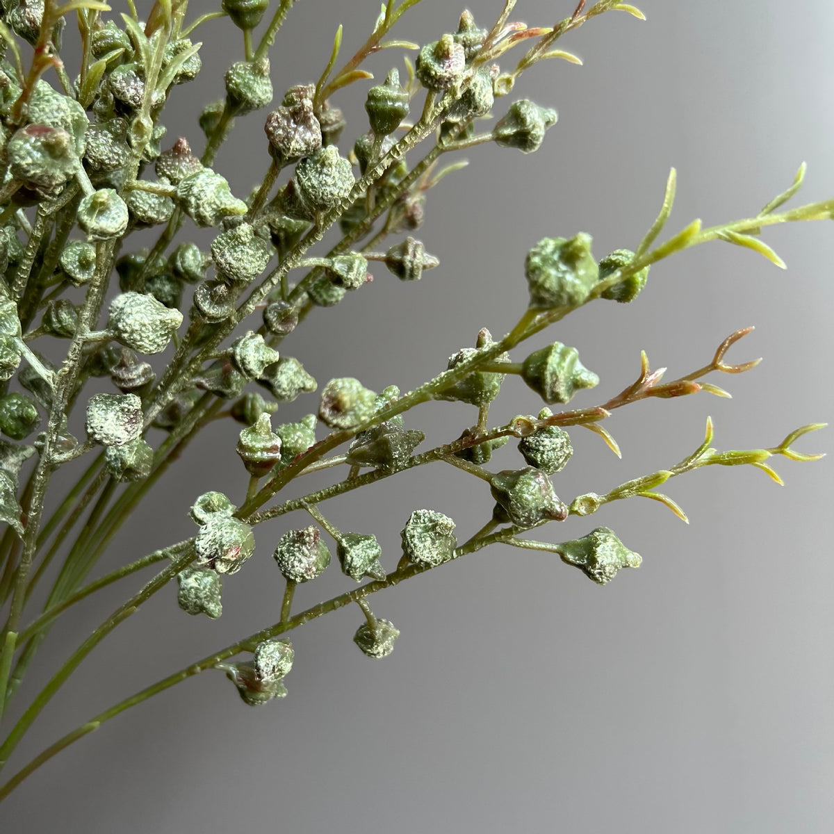 Rama de Eucalipto Artificial con Frutos, Pack de 5 Ramas, Blanco y Verde, Decoración de Bodas y Hogar