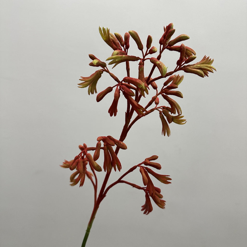 Planta Artificial Pata de Canguro, Arbusto Decorativo de Plástico PE/PVC, Estilo Nórdico para Hogar, Bodas y Escaparates