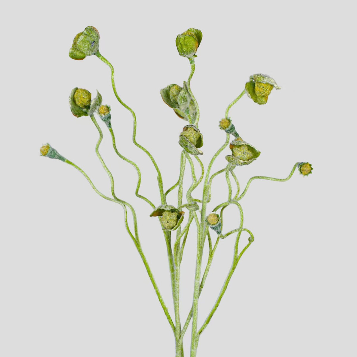 Ramo de amapolas artificiales con frutos y capullos, tela de seda sintética, 65 cm, para bodas y decoración del hogar