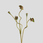 Ramo de amapolas artificiales con frutos y capullos, tela de seda sintética, 65 cm, para bodas y decoración del hogar