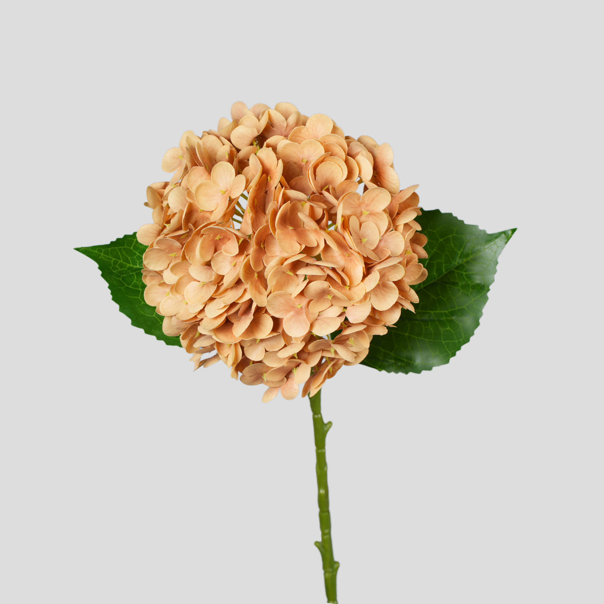 Hortensia Artificial de Plástico, Rama Única con 1 Flor, Estilo Campestre y Vintage, para Hogar, Bodas y Hoteles