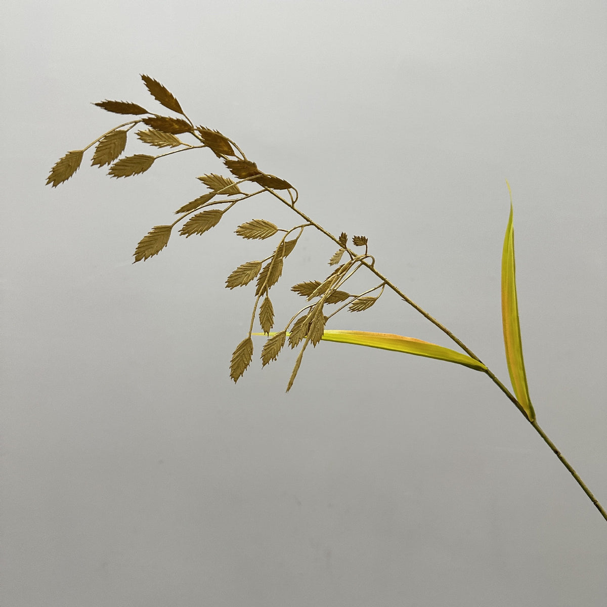 Planta Artificial Hierba de la Pampa, Mata de Plástico, Aspecto Natural, para Decoración Nórdica de Casa, Oficina y Escaparate