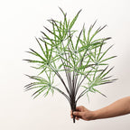 Planta Artificial Aralia Elegantissima (Falsa Aralia) Verde, Arbusto 1 Pieza de Plástico, Decoración Nórdica para Casa, Oficina y Escaparate