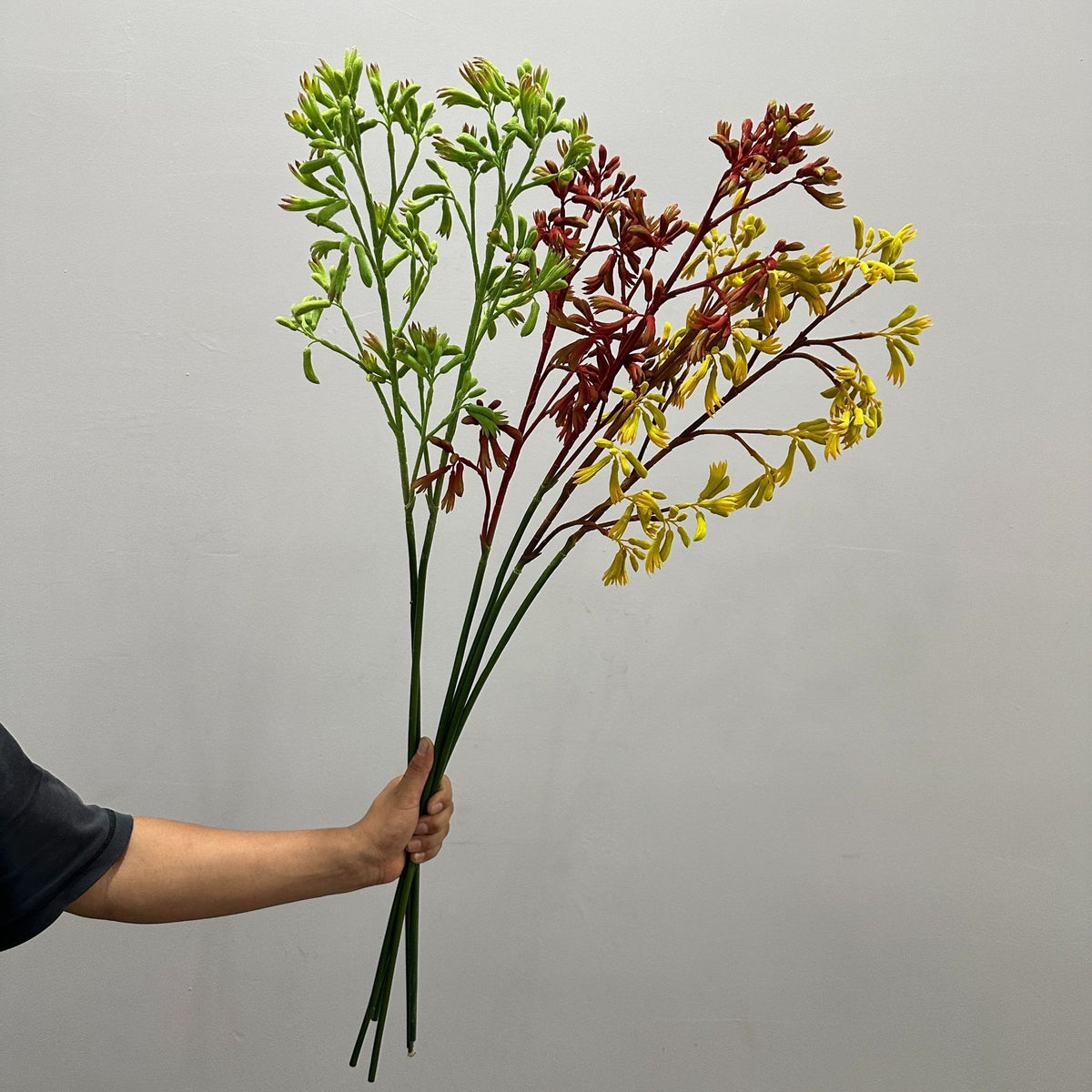 Planta Artificial Pata de Canguro, Arbusto Decorativo de Plástico PE/PVC, Estilo Nórdico para Hogar, Bodas y Escaparates