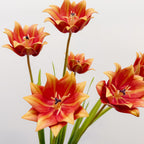 Tulipán artificial de 69 cm, decoración floral moderna para hogar, bodas y oficinas, estilo minimalista