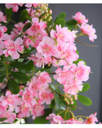 Flores artificiales de gardenia, tallo único con 30 flores, 74 cm, tejido de seda, decoración moderna para interiores