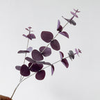 3 Ramas de Eucalipto Artificial, 45 cm, Decoración Hogar, Bodas y Eventos
