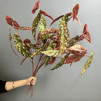 Planta artificial de begonia en arbusto, 71 cm de altura, decoración de plástico para exteriores e interiores