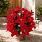 Flor Artificial de Pascua, 36 flores en ramo, decoración navideña en tela de seda artificial, 36 cm