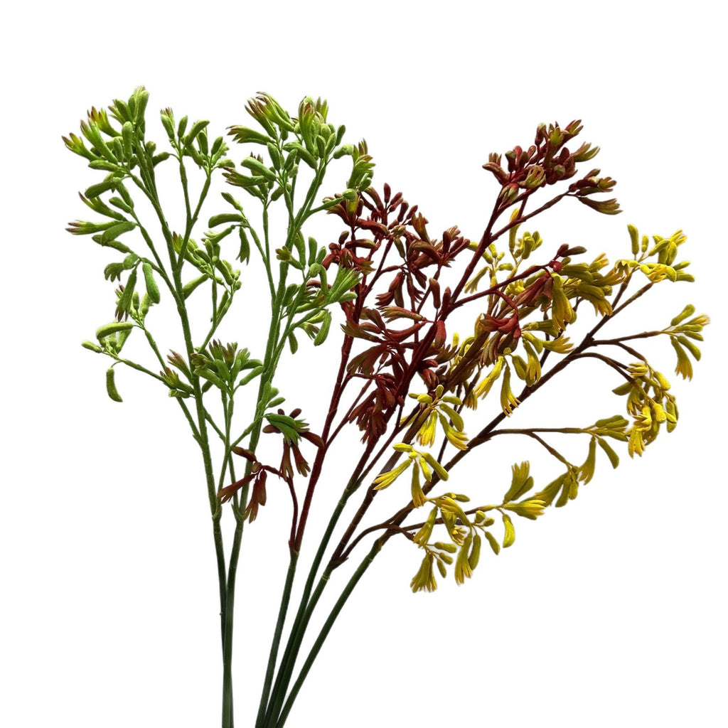 Planta Artificial Pata de Canguro, Arbusto Decorativo de Plástico PE/PVC, Estilo Nórdico para Hogar, Bodas y Escaparates