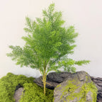 Planta Artificial Asparagus Pino (Espárrago Plumoso), Mata de Follaje Fino, Plástico PE/PVC, Decoración de Interior