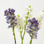 Orquídeas artificiales de 21" para bodas y eventos