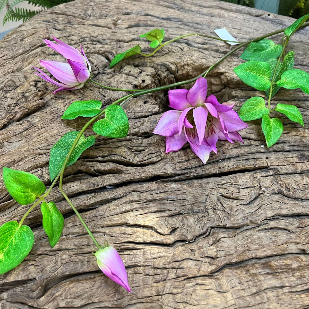 Flor artificial de clemátide, rama de 90 cm con 3 flores, decoración rústica y elegante para hogar y negocios