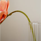 Orquídeas phalaenopsis artificiales con tacto real de 17" para bodas y eventos