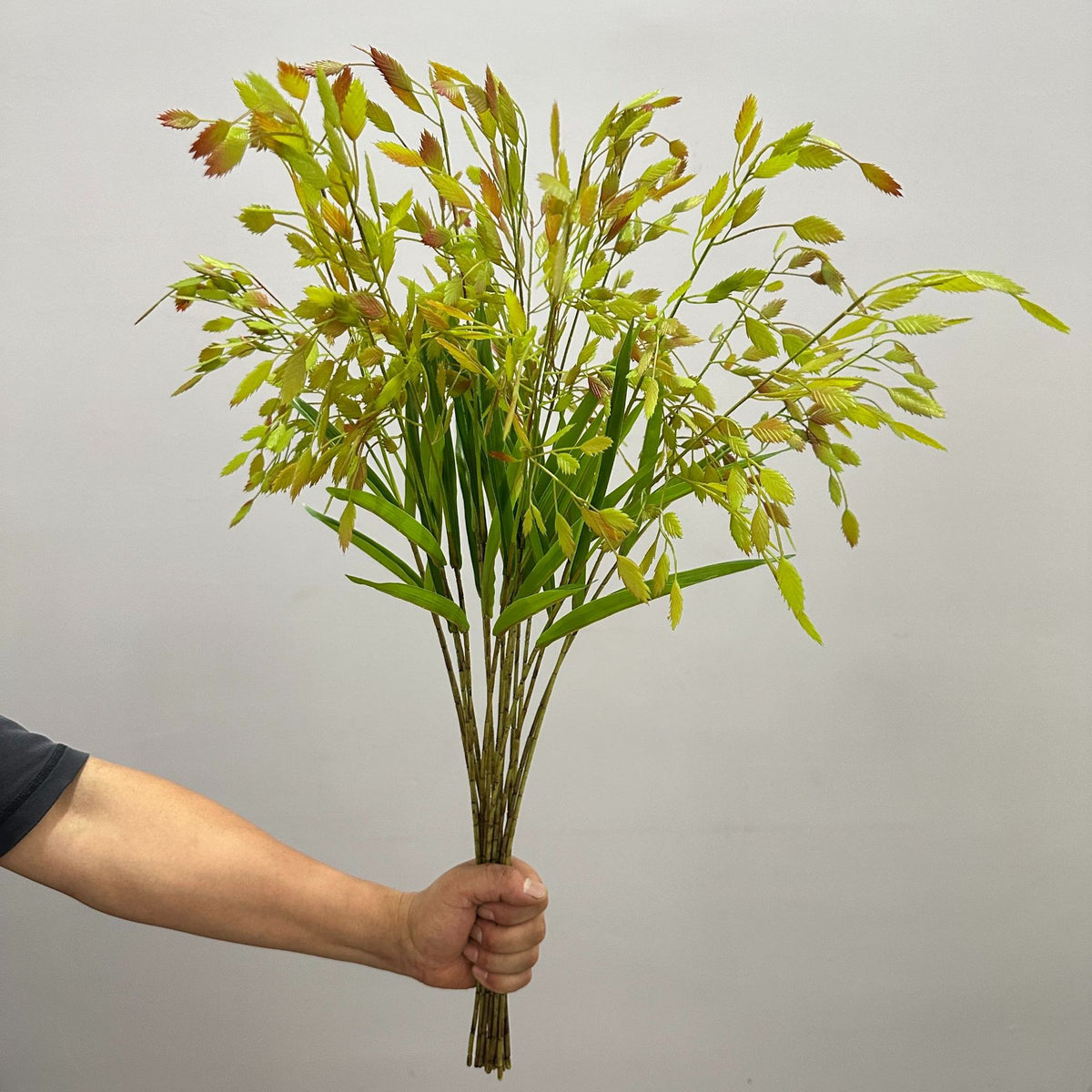 Planta Artificial Hierba de la Pampa, Mata de Plástico, Aspecto Natural, para Decoración Nórdica de Casa, Oficina y Escaparate