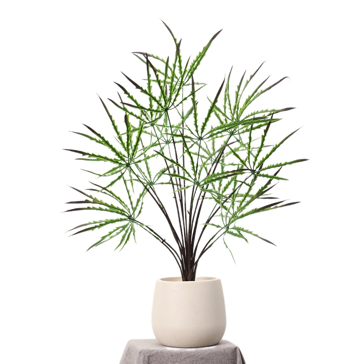 Planta Artificial Aralia Elegantissima (Falsa Aralia) Verde, Arbusto 1 Pieza de Plástico, Decoración Nórdica para Casa, Oficina y Escaparate