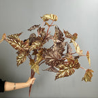Planta artificial de begonia en arbusto, 71 cm de altura, decoración de plástico para exteriores e interiores