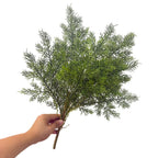 Planta Artificial Asparagus Pino (Espárrago Plumoso), Mata de Follaje Fino, Plástico PE/PVC, Decoración de Interior