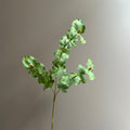 Rama de Eucalipto Artificial de 3 Ramitas con Hojas Dobles, Tallo Único, 66 cm, para Jarrón, Bodas y Decoración del Hogar