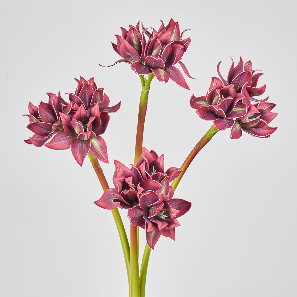 Flor Artificial Clivia, Decoración Elegante para Hogar y Eventos, Altura 56 cm