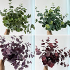 3 Ramas de Eucalipto Artificial, 45 cm, Decoración Hogar, Bodas y Eventos